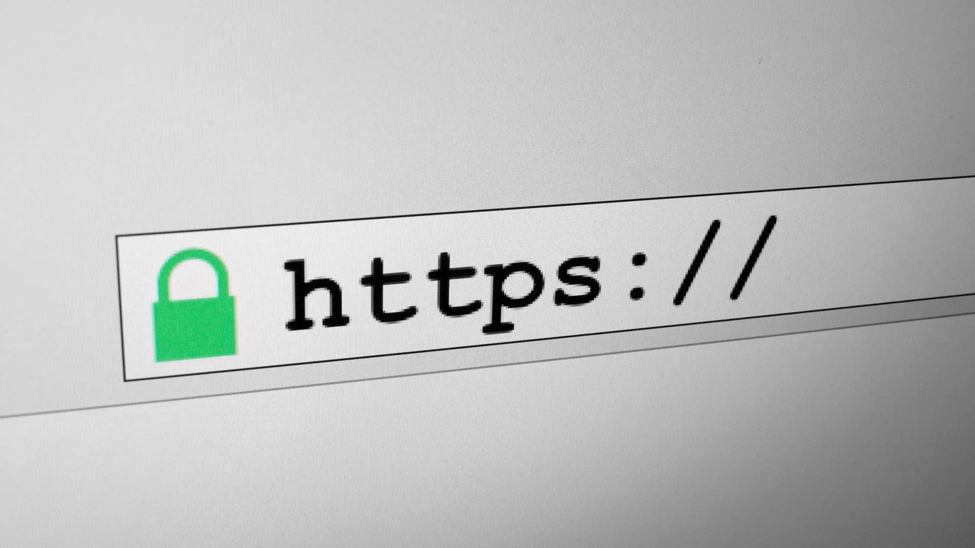Usare le API REST con le Fetch API e la paginazione in JavaScript