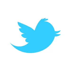 JavaScript: visualizzare i tweet di Twitter senza jQuery